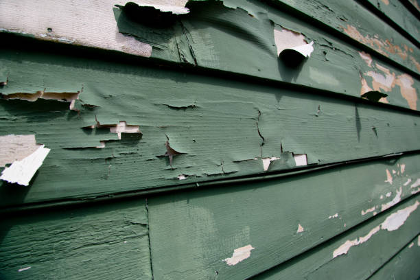 Affordable Siding Repair and Maintenance Services in Guthrie Center, IA